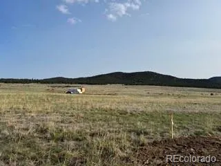 464 Burroback Court Cotopaxi, CO 81223