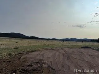 464 Burroback Court Cotopaxi, CO 81223