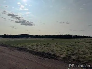 464 Burroback Court Cotopaxi, CO 81223