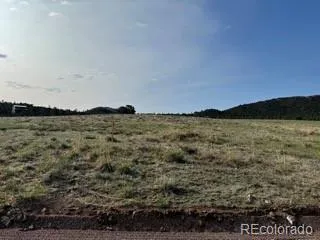 464 Burroback Court Cotopaxi, CO 81223