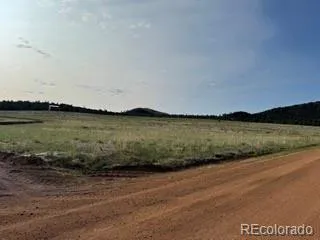 464 Burroback Court Cotopaxi, CO 81223
