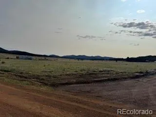 464 Burroback Court Cotopaxi, CO 81223