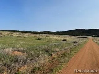 464 Burroback Court Cotopaxi, CO 81223