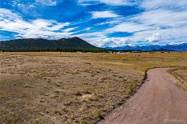 464 Burroback Court Cotopaxi, CO 81223