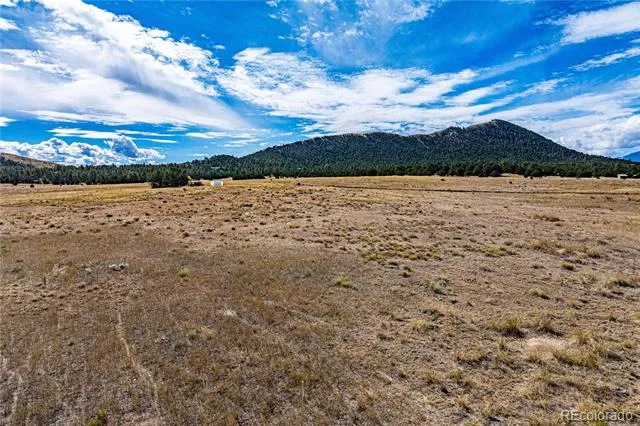 464 Burroback Court Cotopaxi, CO 81223