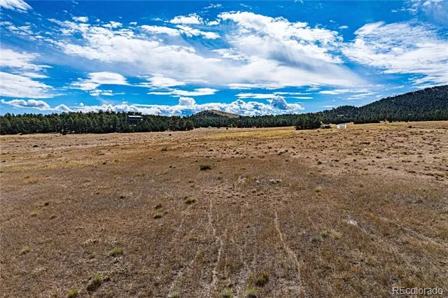 464 Burroback Court Cotopaxi, CO 81223