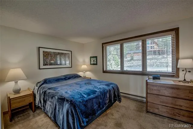 187 Fuller Placer Road #B Breckenridge, CO 80424