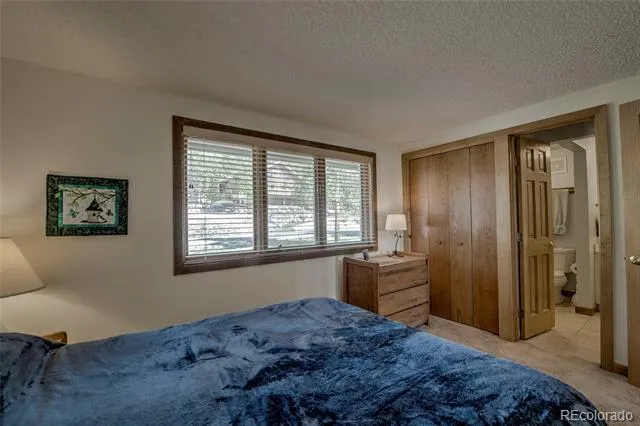 187 Fuller Placer Road #B Breckenridge, CO 80424
