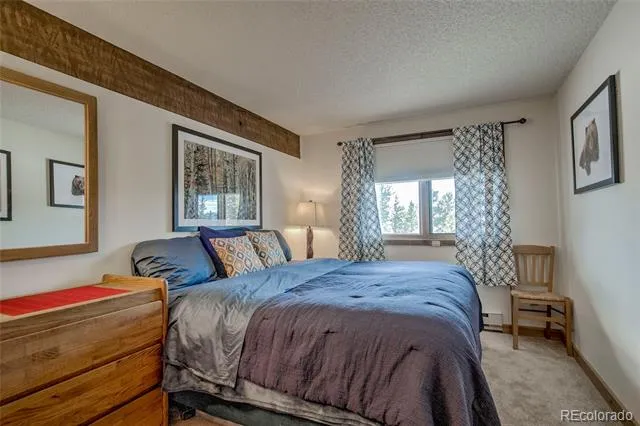 187 Fuller Placer Road #B Breckenridge, CO 80424