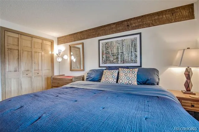 187 Fuller Placer Road #B Breckenridge, CO 80424