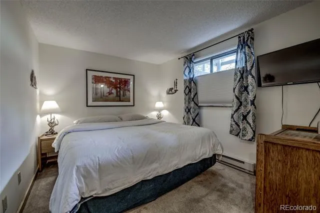 187 Fuller Placer Road #B Breckenridge, CO 80424