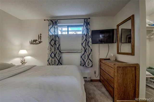 187 Fuller Placer Road #B Breckenridge, CO 80424