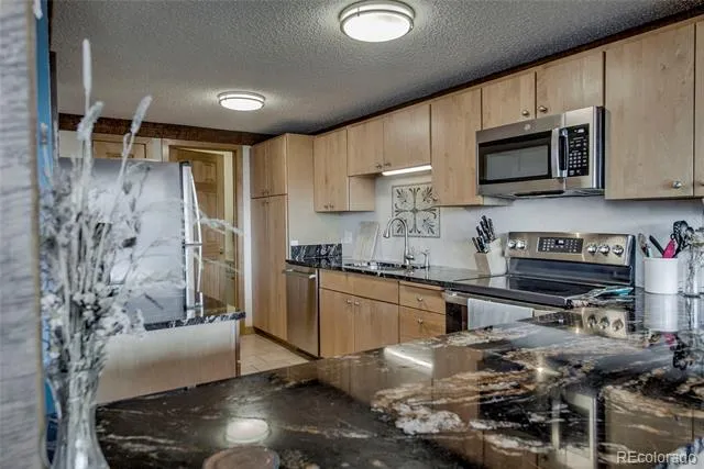 187 Fuller Placer Road #B Breckenridge, CO 80424