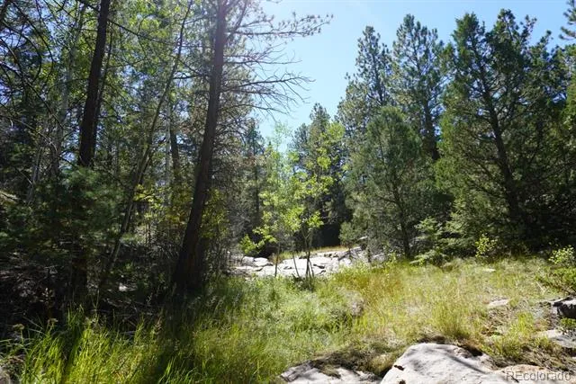 2871 Marcey Road Westcliffe, CO 81252