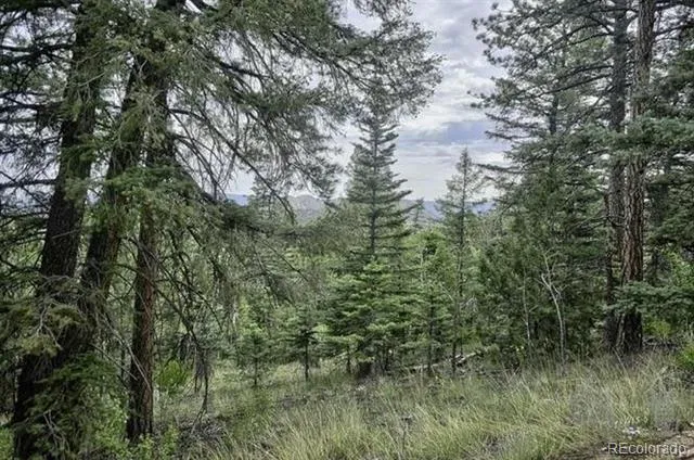 2871 Marcey Road Westcliffe, CO 81252