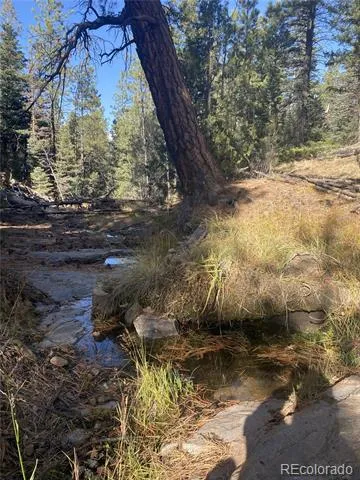 2871 Marcey Road Westcliffe, CO 81252