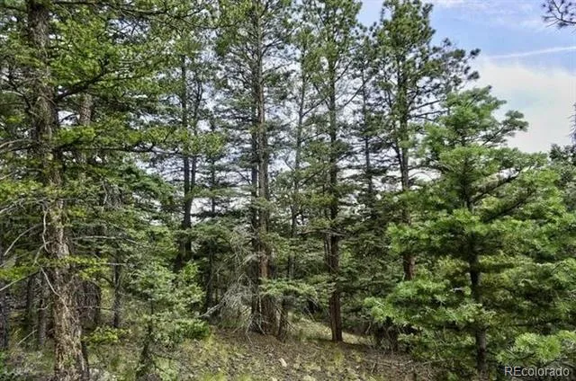 2871 Marcey Road Westcliffe, CO 81252