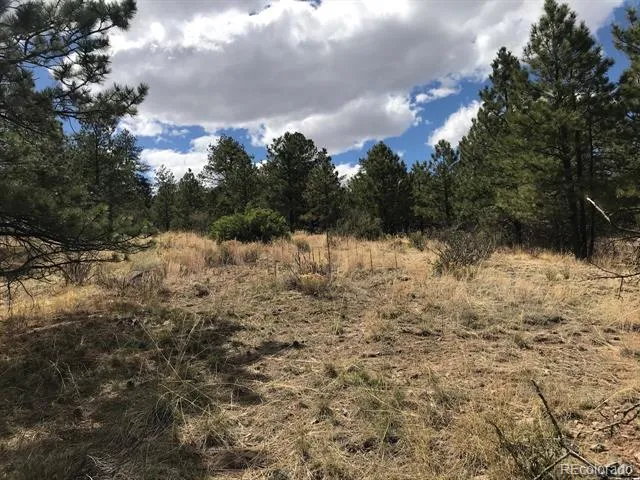 2871 Marcey Road Westcliffe, CO 81252