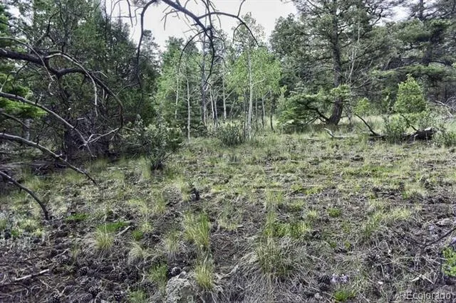 2871 Marcey Road Westcliffe, CO 81252
