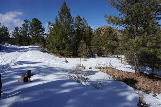 2871 Marcey Road Westcliffe, CO 81252