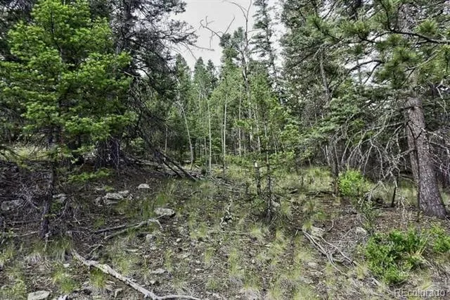 2871 Marcey Road Westcliffe, CO 81252