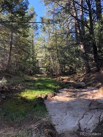 2871 Marcey Road Westcliffe, CO 81252
