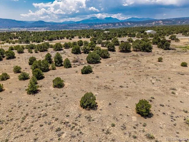 0 TBD County Road 193 Salida, CO 81201