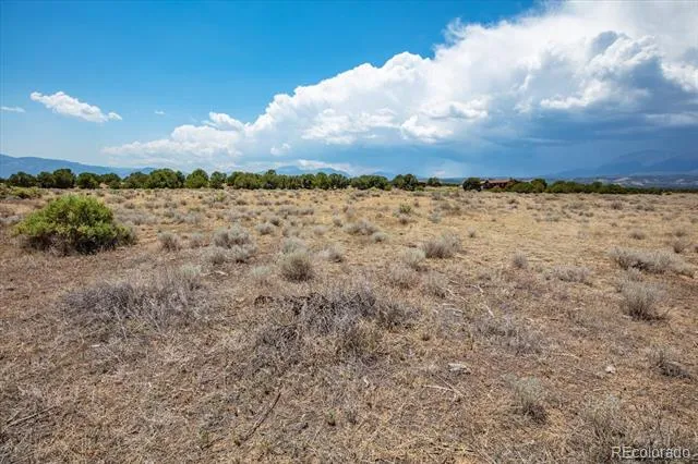 0 TBD County Road 193 Salida, CO 81201