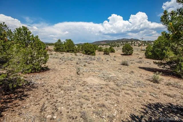 0 TBD County Road 193 Salida, CO 81201