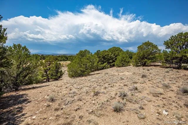 0 TBD County Road 193 Salida, CO 81201