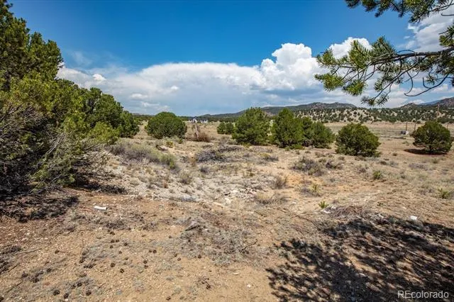 0 TBD County Road 193 Salida, CO 81201