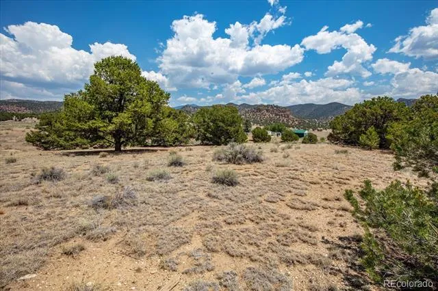 0 TBD County Road 193 Salida, CO 81201