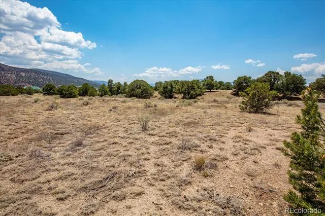 0 TBD County Road 193 Salida, CO 81201