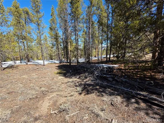 379 Lodgepole Drive Twin Lakes, CO 81251