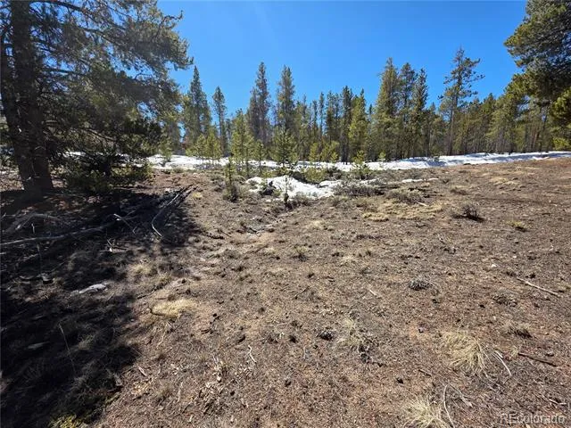 379 Lodgepole Drive Twin Lakes, CO 81251