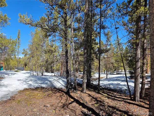 379 Lodgepole Drive Twin Lakes, CO 81251
