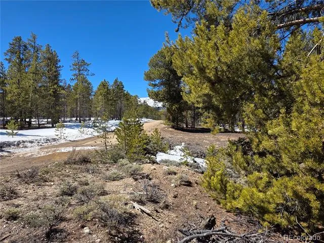379 Lodgepole Drive Twin Lakes, CO 81251