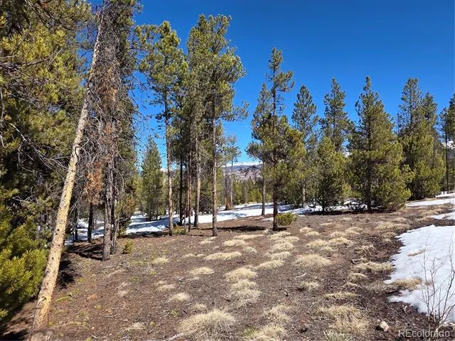 379 Lodgepole Drive Twin Lakes, CO 81251