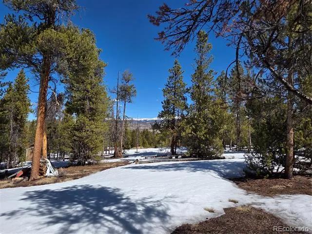 379 Lodgepole Drive Twin Lakes, CO 81251