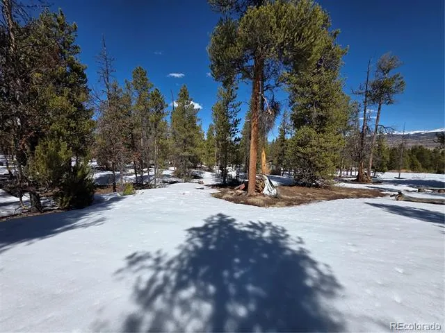 379 Lodgepole Drive Twin Lakes, CO 81251