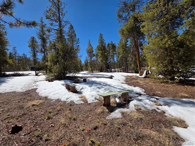 379 Lodgepole Drive Twin Lakes, CO 81251