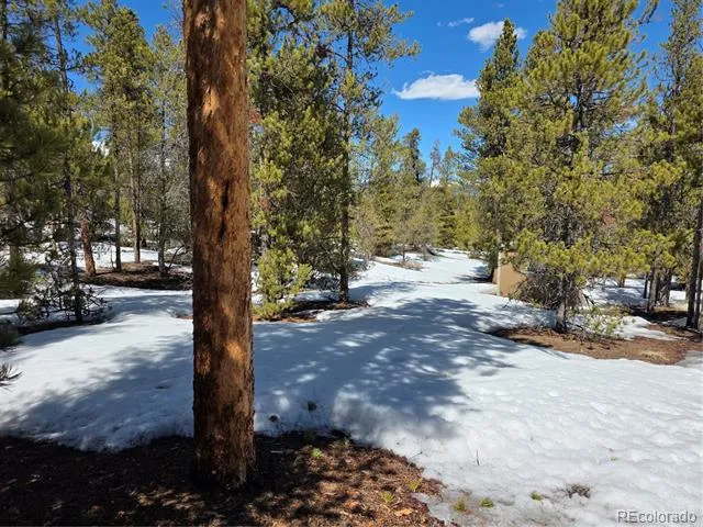 379 Lodgepole Drive Twin Lakes, CO 81251