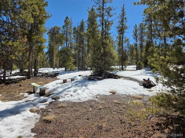 379 Lodgepole Drive Twin Lakes, CO 81251
