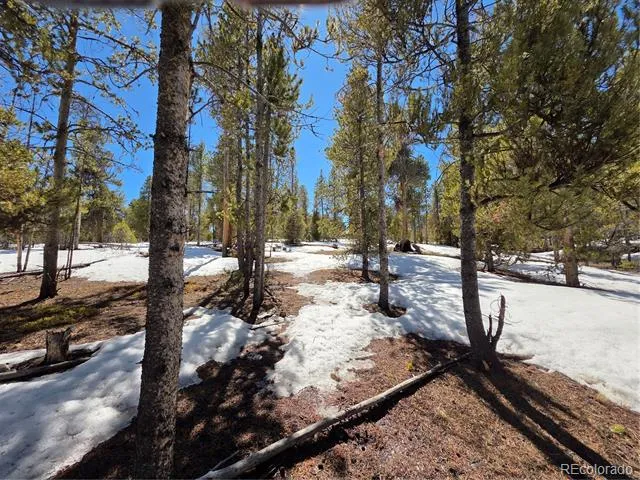 379 Lodgepole Drive Twin Lakes, CO 81251