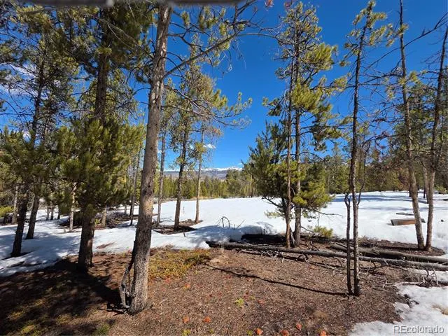 379 Lodgepole Drive Twin Lakes, CO 81251