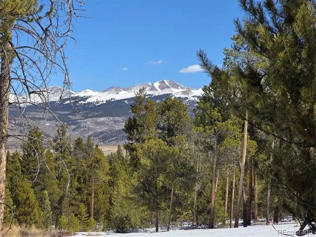 379 Lodgepole Drive Twin Lakes, CO 81251
