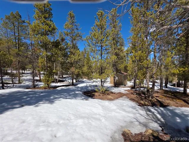 379 Lodgepole Drive Twin Lakes, CO 81251