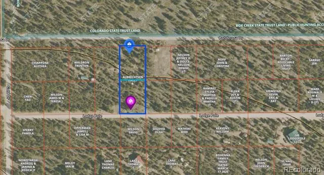 379 Lodgepole Drive Twin Lakes, CO 81251