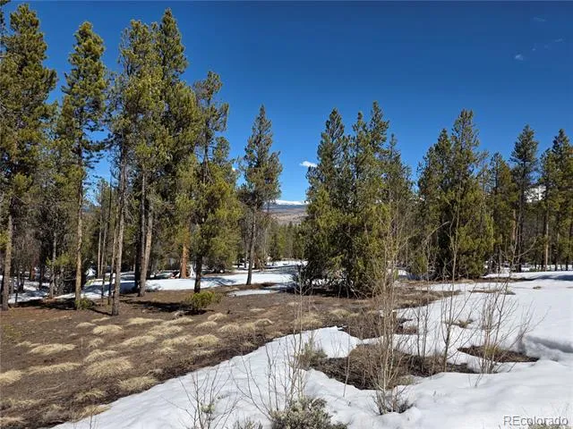 379 Lodgepole Drive Twin Lakes, CO 81251