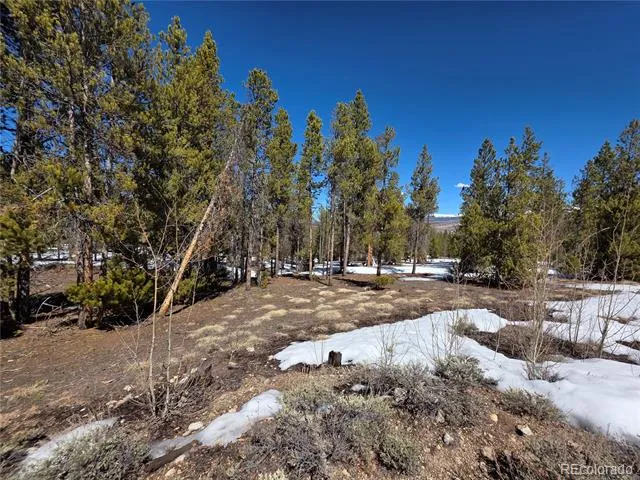 379 Lodgepole Drive Twin Lakes, CO 81251